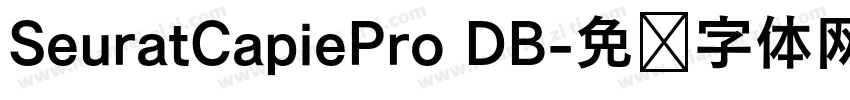 SeuratCapiePro DB字体转换